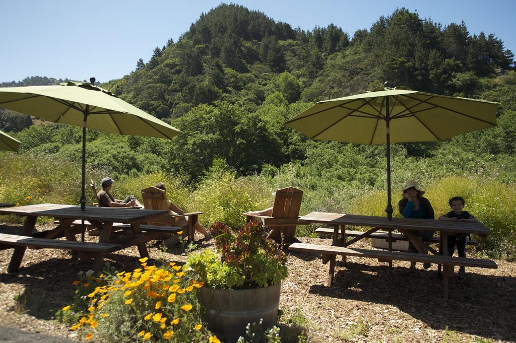 Hi Point Reyes Hostel Point Reyes Station Extérieur photo